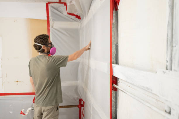 Asbestos and Lead Testing During Mold Inspection in Frenchtown, MT