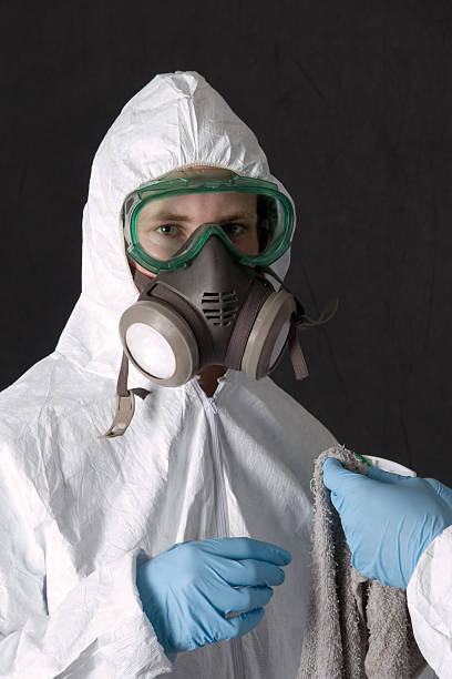 Mold Remediation for Rental Properties